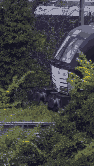 There should be a train video here :'(