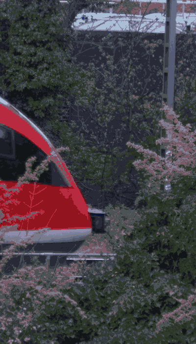 There should be a train video here :'(