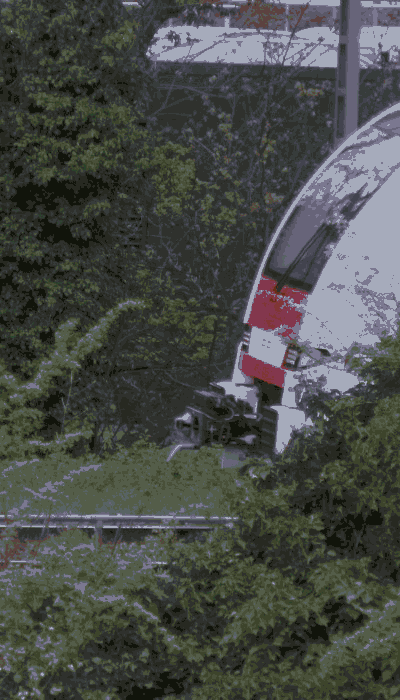 There should be a train video here :'(