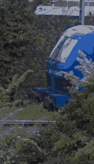 There should be a train video here :'(