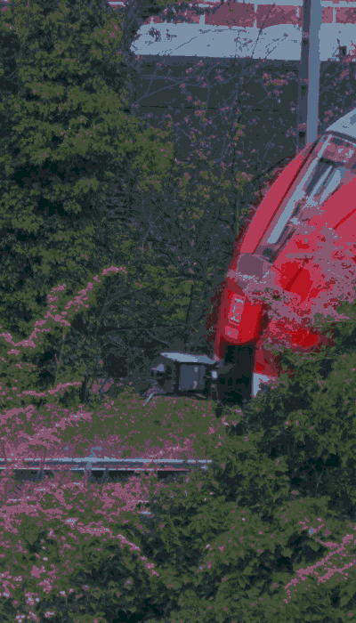 There should be a train video here :'(