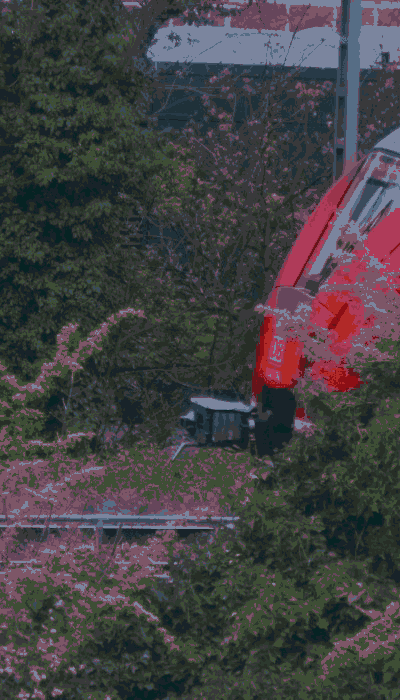 There should be a train video here :'(