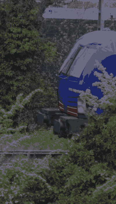 There should be a train video here :'(