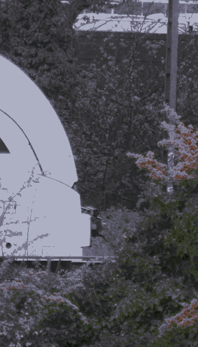 There should be a train video here :'(