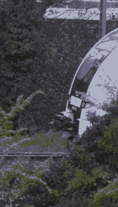 There should be a train video here :'(