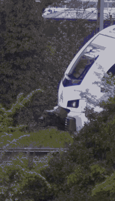 There should be a train video here :'(