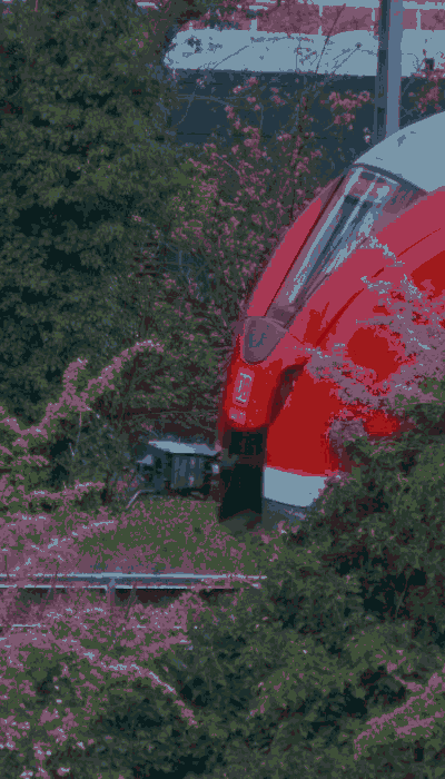 There should be a train video here :'(