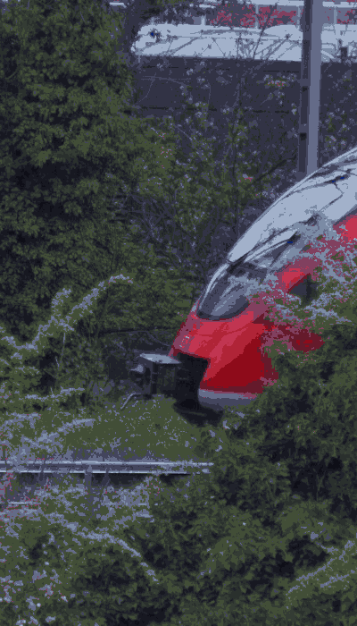 There should be a train video here :'(