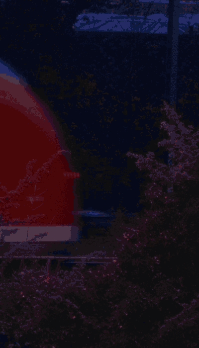 There should be a train video here :'(