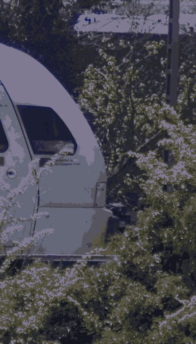 There should be a train video here :'(