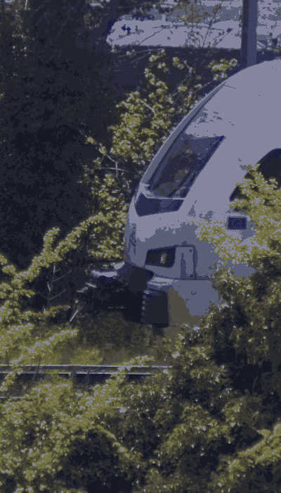 There should be a train video here :'(