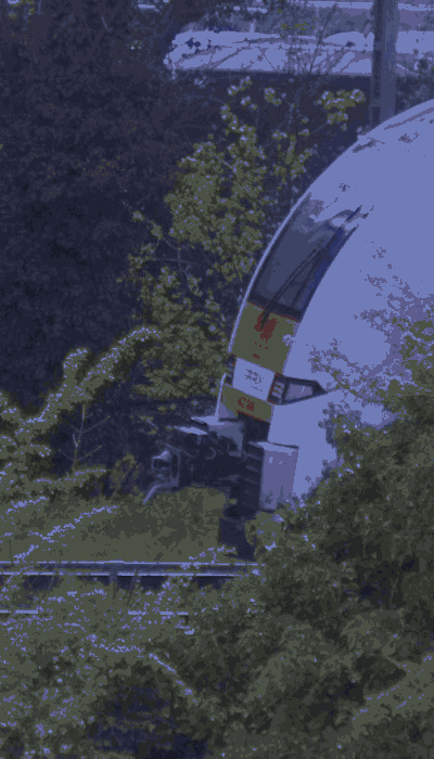 There should be a train video here :'(