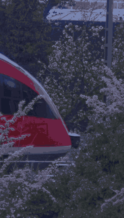 There should be a train video here :'(