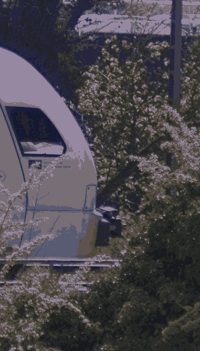 There should be a train video here :'(