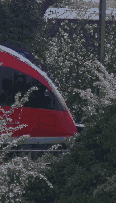 There should be a train video here :'(