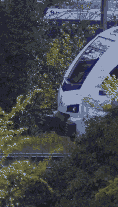 There should be a train video here :'(