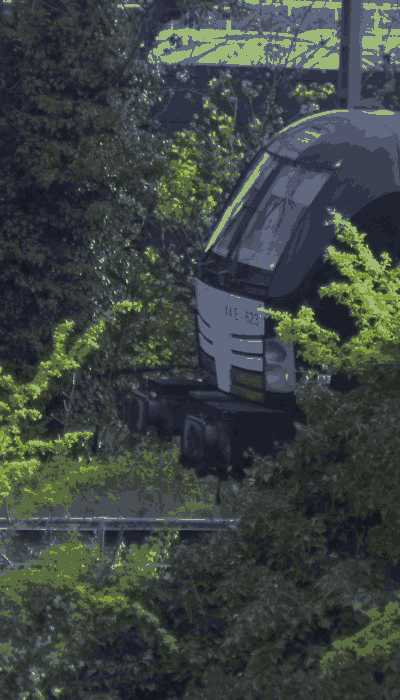 There should be a train video here :'(