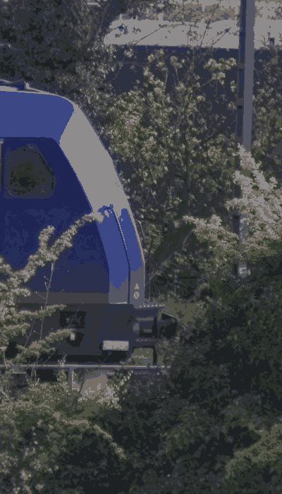 There should be a train video here :'(