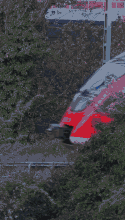 There should be a train video here :'(