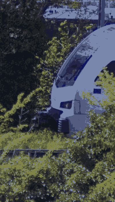 There should be a train video here :'(