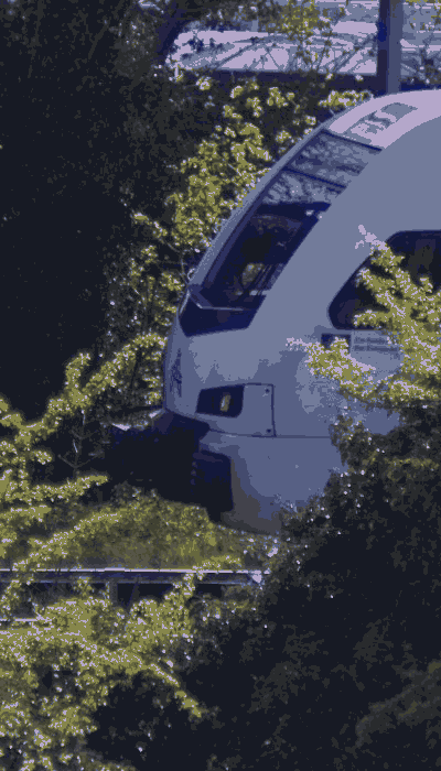 There should be a train video here :'(