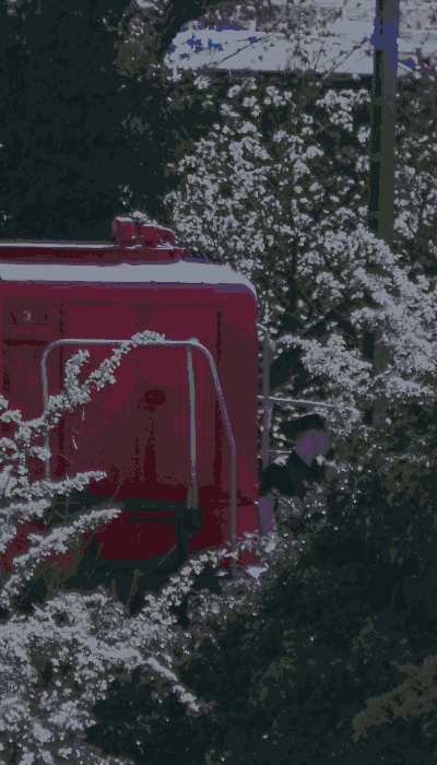 There should be a train video here :'(