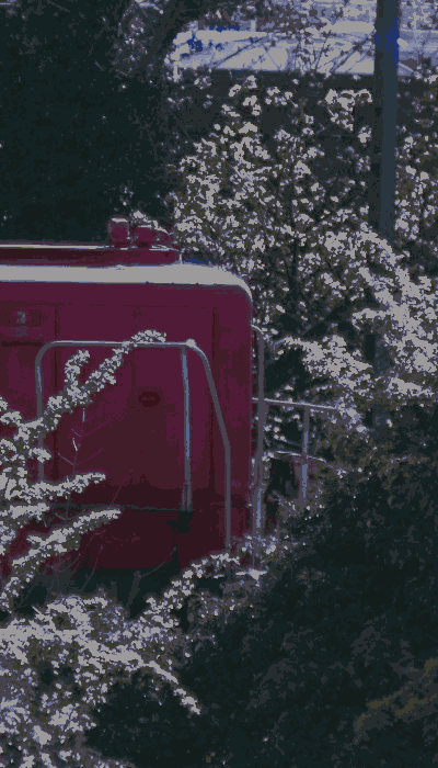 There should be a train video here :'(