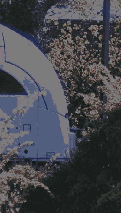 There should be a train video here :'(