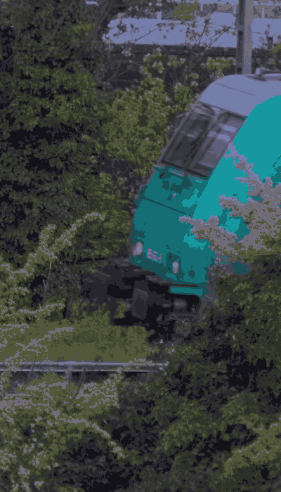 There should be a train video here :'(