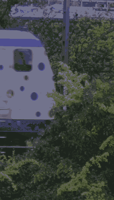 There should be a train video here :'(