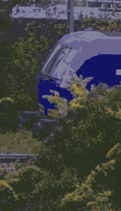 There should be a train video here :'(