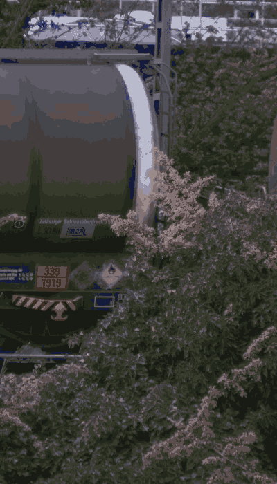 There should be a train video here :'(