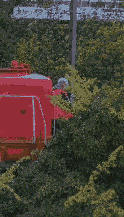 There should be a train video here :'(