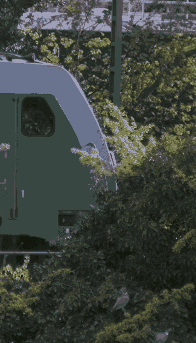 There should be a train video here :'(