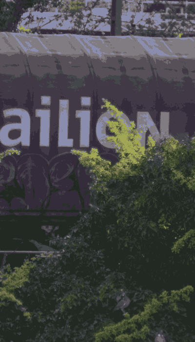 There should be a train video here :'(