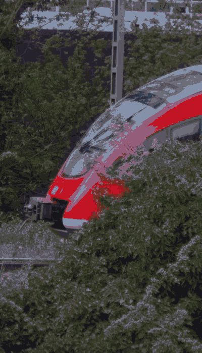 There should be a train video here :'(