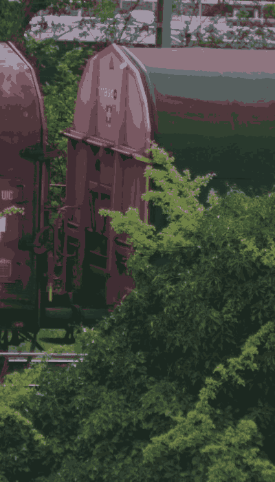 There should be a train video here :'(