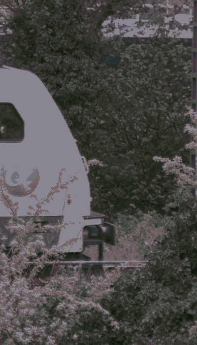 There should be a train video here :'(