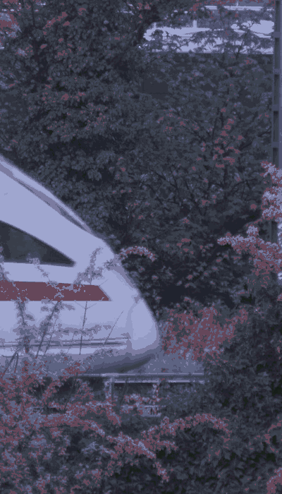 There should be a train video here :'(