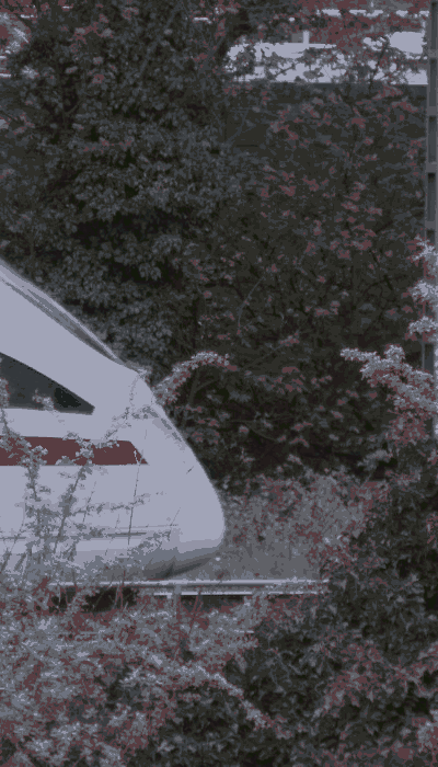 There should be a train video here :'(