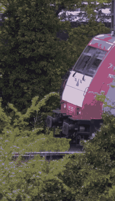 There should be a train video here :'(