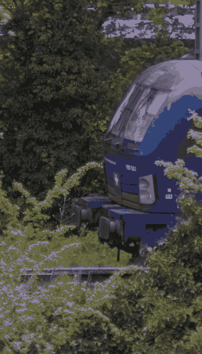 There should be a train video here :'(