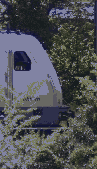 There should be a train video here :'(