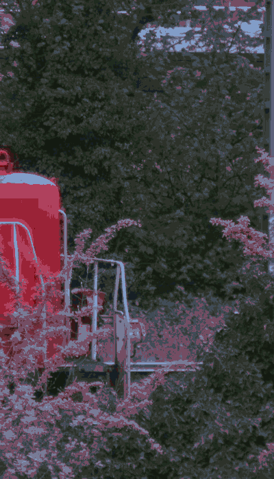 There should be a train video here :'(