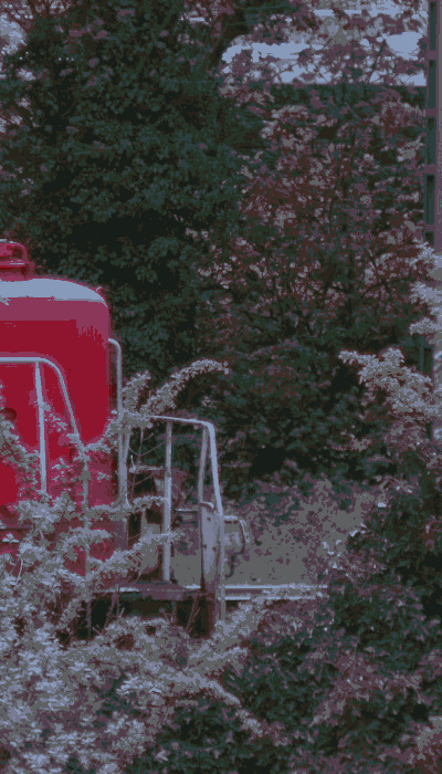 There should be a train video here :'(