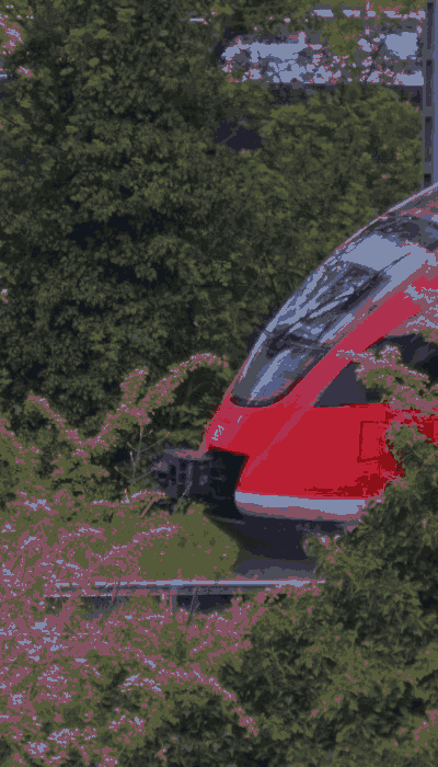 There should be a train video here :'(