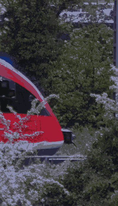 There should be a train video here :'(