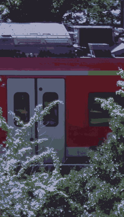 There should be a train video here :'(