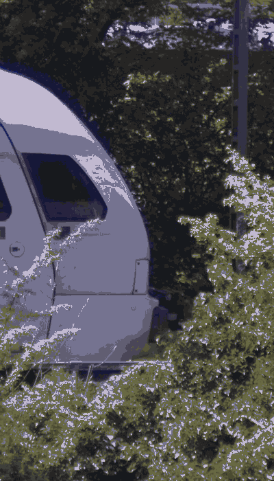 There should be a train video here :'(