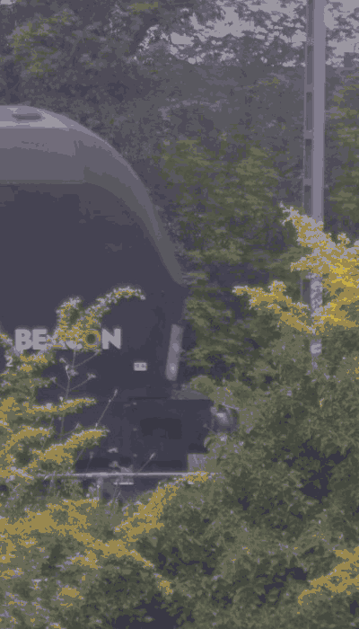 There should be a train video here :'(